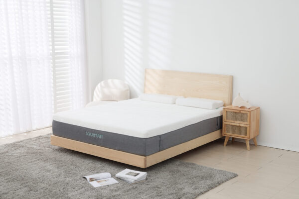 CHSI5921 拷貝 嗜睡床墊-大地系列