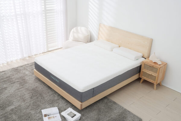 CHSI5927 拷貝 嗜睡床墊-大地系列