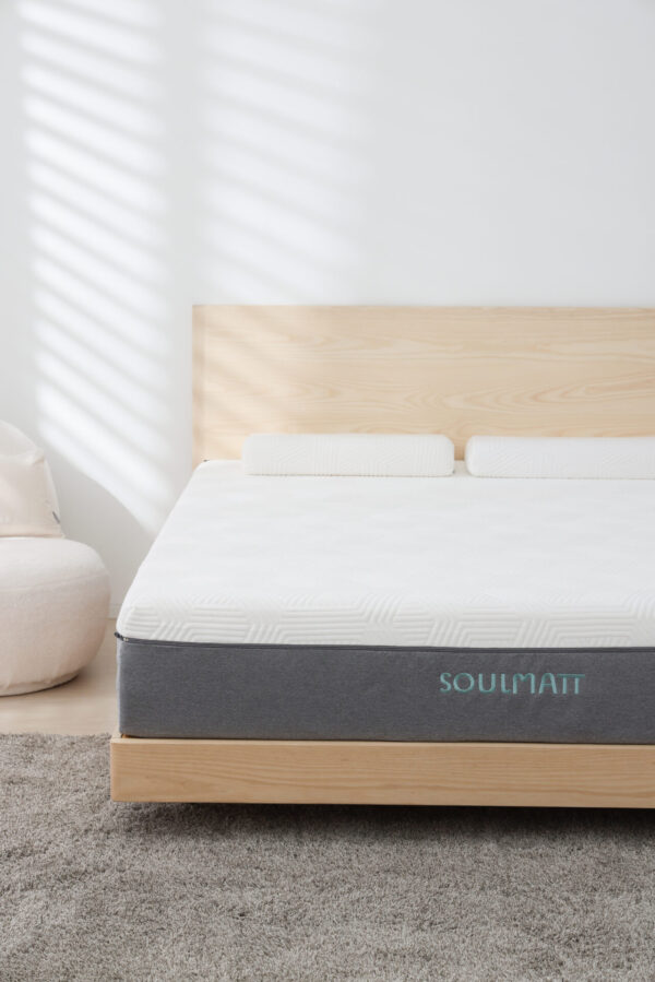 CHSI5933 拷貝 嗜睡床墊-大地系列