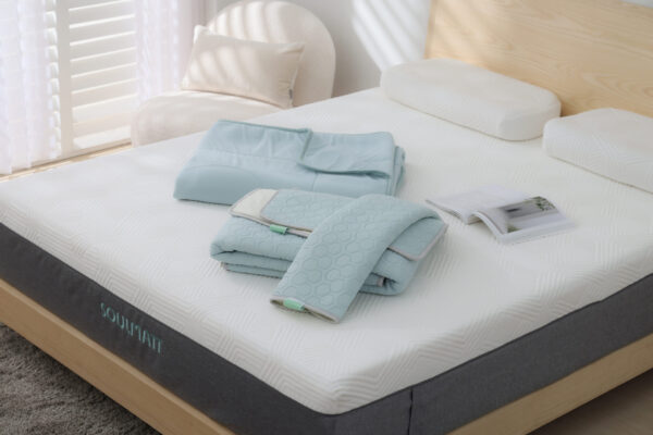 CHSI6030拷貝 拷貝 涼蓆/枕套