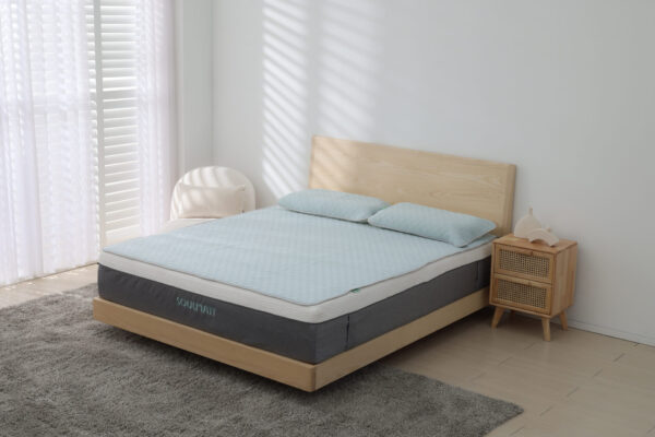 CHSI6059拷貝 拷貝 涼蓆/枕套