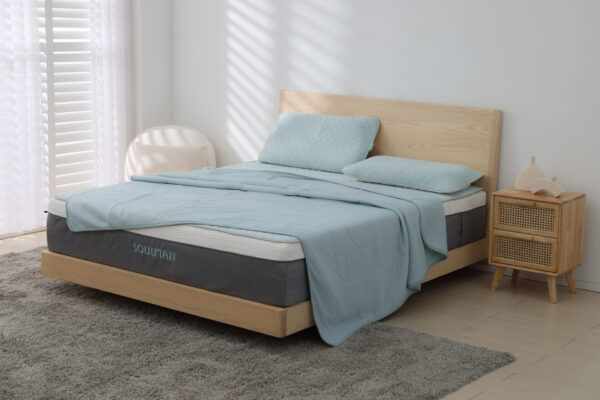 CHSI6074拷貝 拷貝 涼蓆/枕套