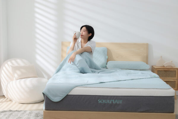 CHSI6089拷貝 拷貝 涼蓆/枕套