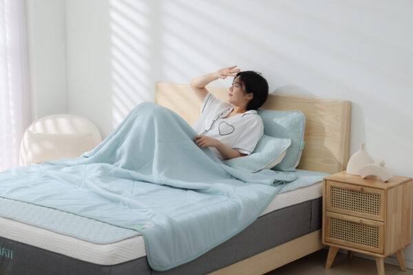 CHSI6092拷貝-拷貝 涼蓆/枕套