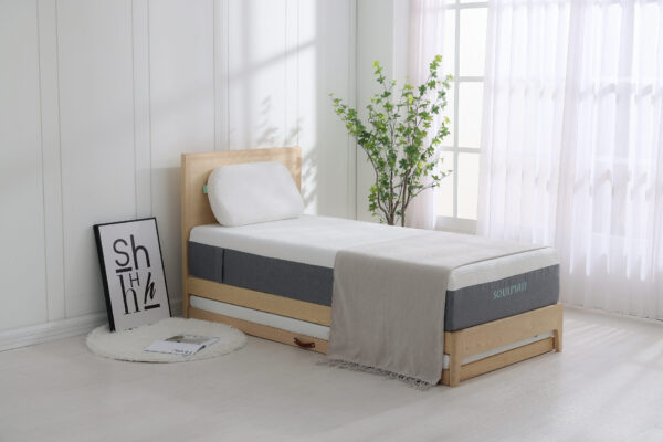 CHSI6288 拷貝 賴床墊