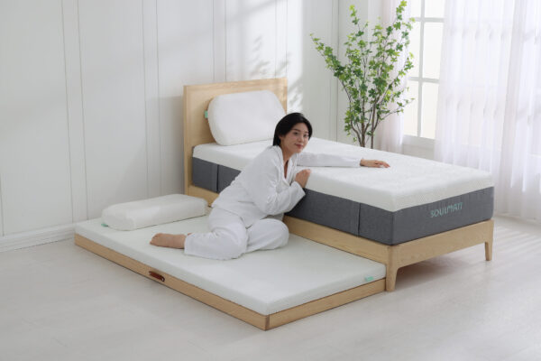 CHSI6309 拷貝 賴床墊